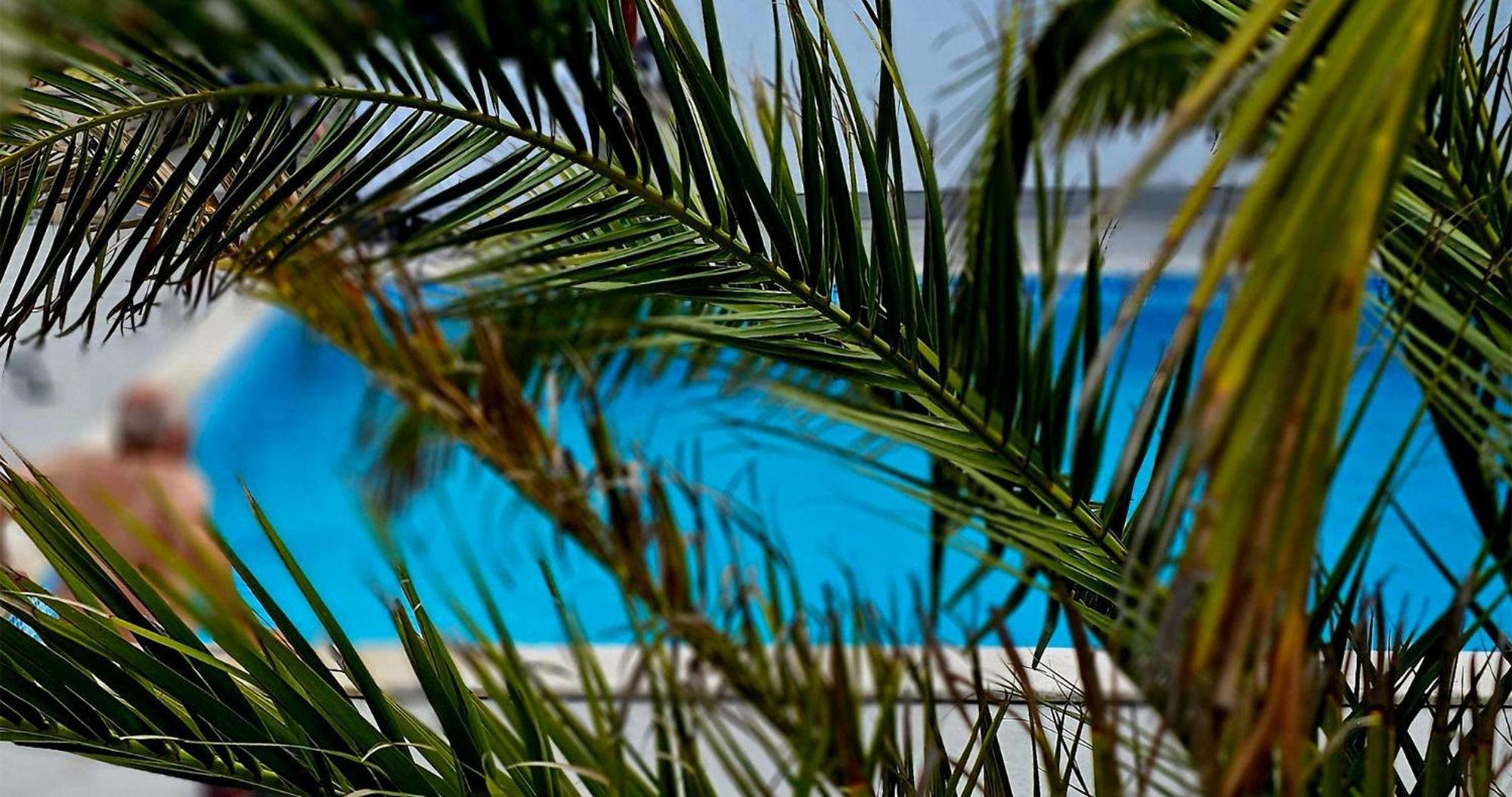 Villa Patricija Μεντουλίν Εξωτερικό φωτογραφία